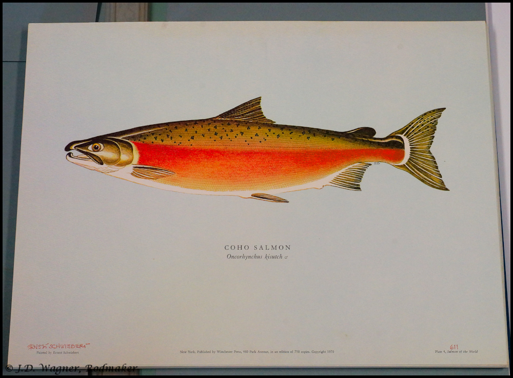 Salmon Of The World Ernest Schwiebert Limited Edition 611/750